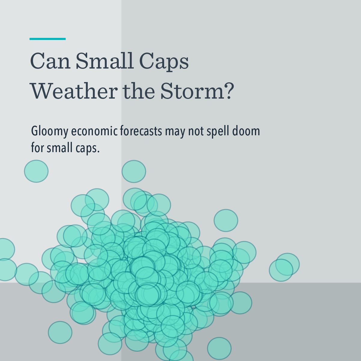 Can Small Caps Weather the Storm? | Dimensional