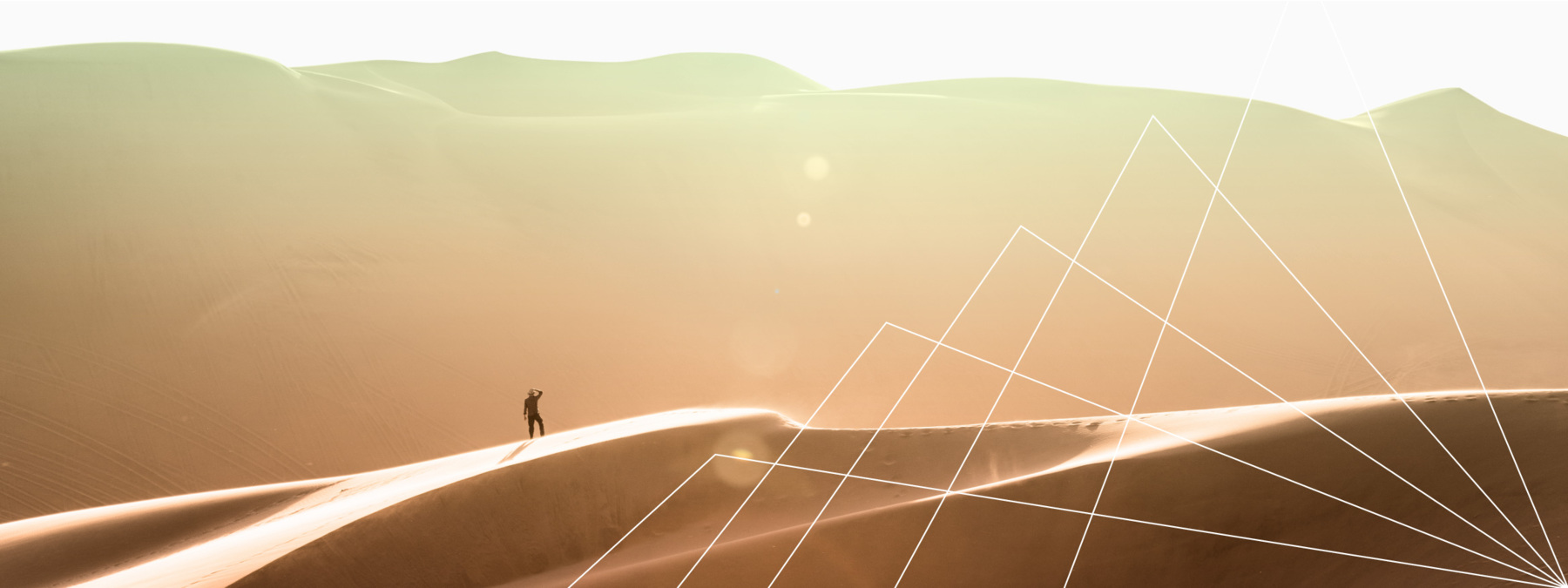 Foundations Lesson 2: Can You Afford to Go It Alone?_Header