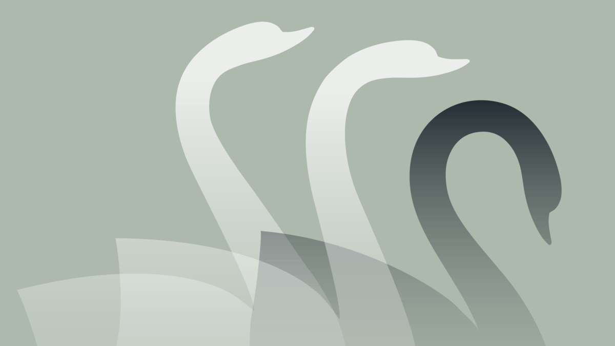 How to Avoid Black Swans